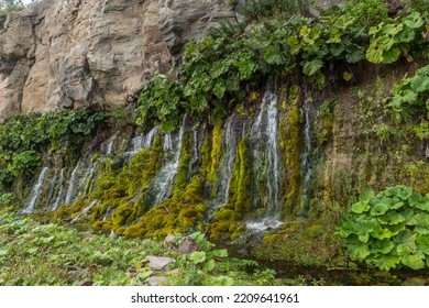 Weeping Rocks On The Iturup Island.