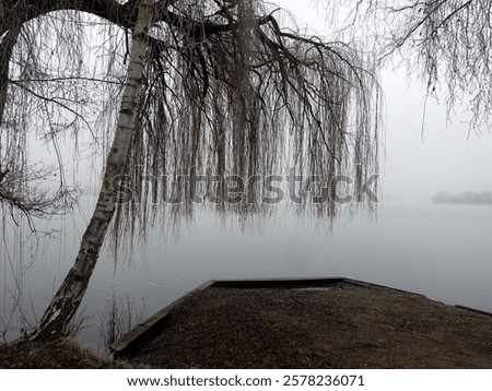 A weeping willow tree hangs over a dock on a foggy lake, creating a serene atmosphere.