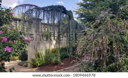 Weeping Willow Tree with wall in background and flowers