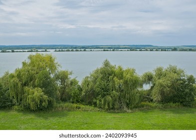 weeping willow trees along Kis-Balaton lake, Hungary