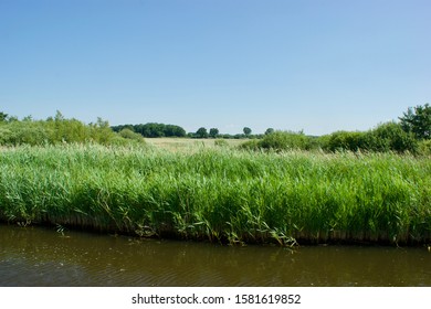 380 Weerribben national park Images, Stock Photos & Vectors | Shutterstock