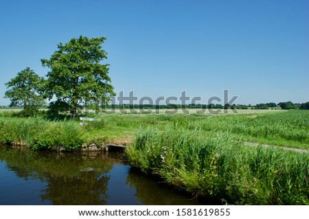 Weerribben, The Netherlands - june 19 2017: The countryside along the Canal Steenwijk-Ossenzijl Stock photo © 
