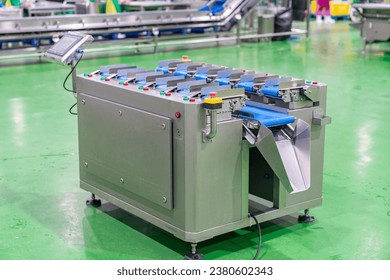 Weighing scale for weighing chicken meat to equal weight in poultry factory. - Powered by Shutterstock