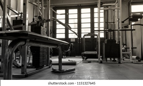 Weight Bench And Gym Equipment