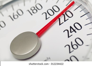 Weight Scale.