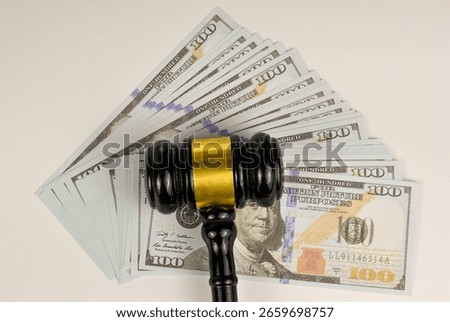 The weighty gavel, positioned amidst a stack of money, suggests the significant financial implications of legal decisions.