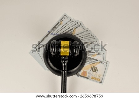 The weighty gavel, positioned amidst a stack of money, suggests the significant financial implications of legal decisions.