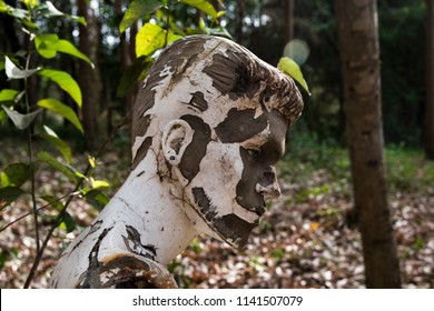 Weird Discarded Mannequin Profile 