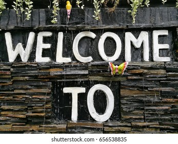 Welcome to
