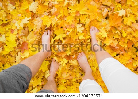 Welcome autumn. Young couple's barefoot walking on the fresh, yellow and orange maple leaves. Restful moment in warm, sunny day. Healthy lifestyle. Bright color. Point of view shot.