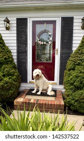 Welcome Home Image Of Dog Sitting On Front Step Of Home Greeting