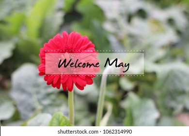 Welcome May With Nature Concept As Background