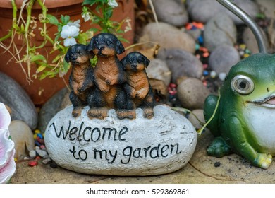 Welcome To My Garden.
There Is A Awesome Garden Tool Which Can Decorate Any House And Garden.