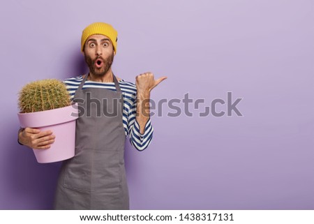 Similar – Image, Stock Photo cactus plants in greenhouse interior