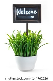 Welcome sign and green color grass in white ceramic pot