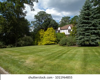 Suburban Garden Images Stock Photos Vectors Shutterstock