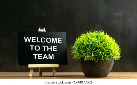 WELCOME TO THE TEAM words on chalk board with green grass