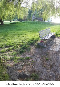 A Welcoming Flower-adorned Bench Facing The Open Pacific Ocean On Bright Serene Spring Day