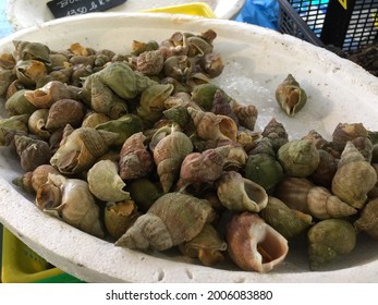 Welks For Sale At Antibes Market