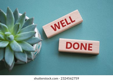Well done symbol. Wooden blocks with words Well done. Beautiful grey green background with succulent plant. Business and Well done concept. Copy space.