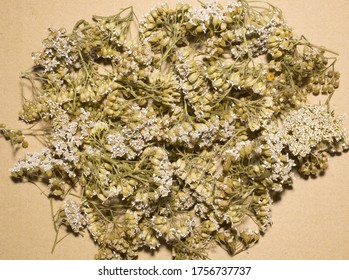 Well Dried Herbs, Yarrow Flowers.