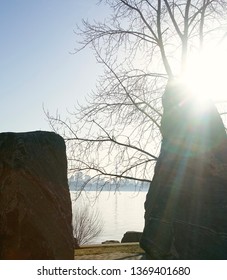          A Well Framed View Of Lake Ontario In The Background The C.N Tower                      