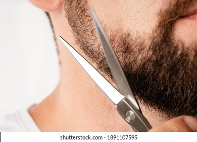 Well Groomed Man Trimming His Beard With A Scissors 