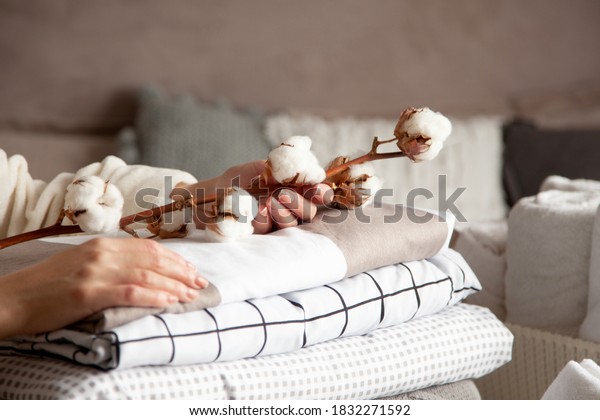 Well\
groomed woman hands holding the cotton branch with pile of neatly\
folded bed sheets, blankets and towels. Production of natural\
textile fibers. Manufacture. Organic\
product.