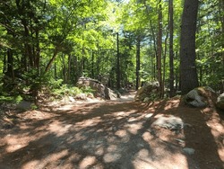 A Well Kept Hiking Trail Through The Woods On A Summer Day.