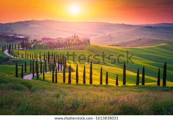 Well known Tuscany landscape with\
grain fields, cypress trees and houses on the hills at sunset.\
Summer rural landscape with curved road in Tuscany, Italy,\
Europe