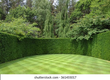 Well Manicured Lawn with a Checkerboard Pattern and a Yew Hedge at Rosemoor, Devon, England, UK - Shutterstock ID 361455017