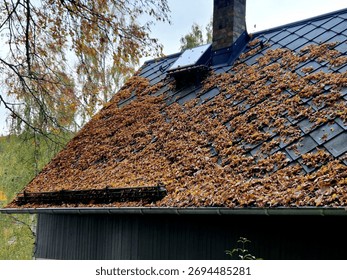 Well-designed covering the inside of the gutter with a plastic grid. the leaves of the trees do not fall inside. A clogged gutter sewer pipe is a thing of the past. fired roof tiles