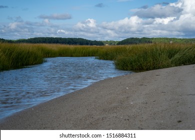 Wellfleet Salt Marsh in Cape Cod