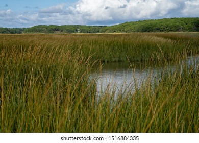 Wellfleet Salt Marsh in Cape Cod