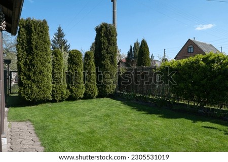 A well-groomed, even lawn with grass on the terrace of a house with needles of different heights and a fence