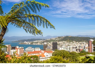 Wellington Cable Car, New Zealand