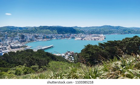 Wellington Harbour New Zealand