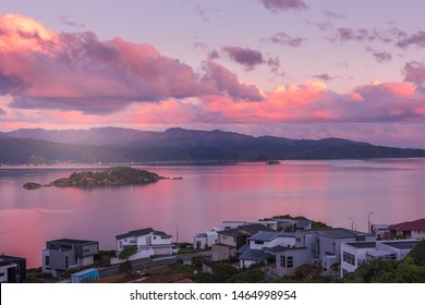 Wellington Harbour View At Sunset