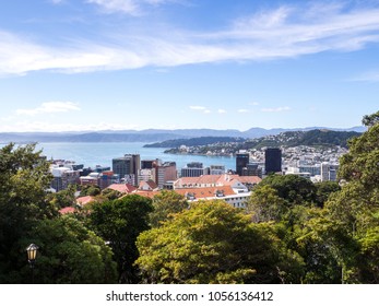 Wellington Landscape Harbour, The Capital City Of New Zealand