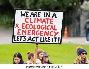 Wellington, New Zealand, August 23 2019: Protesters Outside New Zealand's Parliament Calling For Action On Climate Change And Global Warning