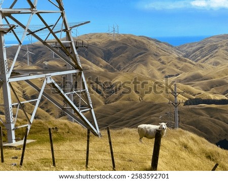 Similar – Foto Bild Windräder in hügeliger Landschaft mit Bäumen und abgeernteten Feldern / Frühherbst