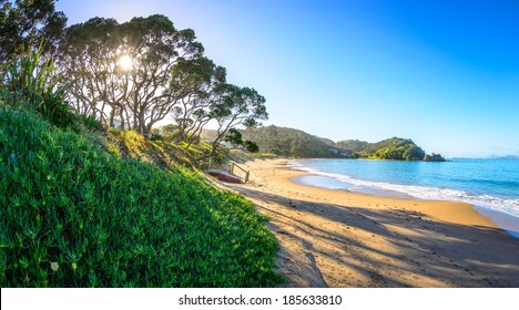 Wellington's Bay Sunrise, Tutukaka Coast