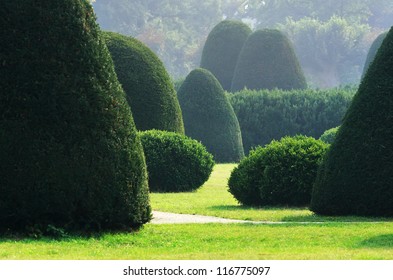 Well-kept Bushes And Trees In Formal English Garden