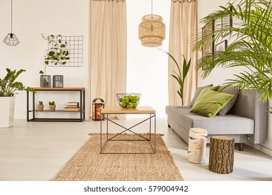 Well-lighted Flat Interior With Plants And Couch