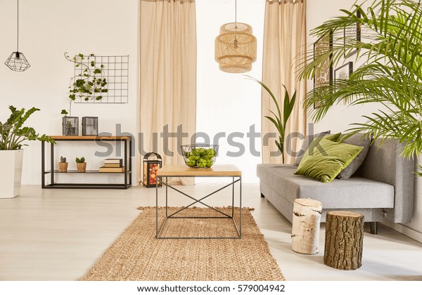 Well-lighted flat\
interior with plants and\
couch