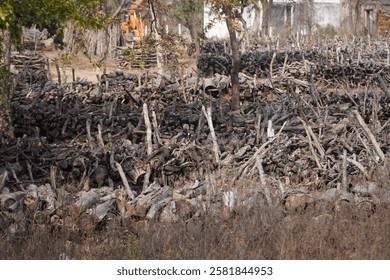 
A well-maintained stack of dry logs in a forest in India, which also has a stack of dry logs in the landscape