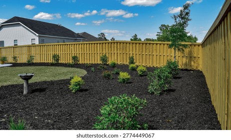 Well-maintained suburban backyard featuring fresh black mulch landscaping, small ornamental shrubs, young trees, and a wooden privacy fence. Residential outdoor garden design with green lawn, blue sky, and scattered clouds in a peaceful neighborhood setting.