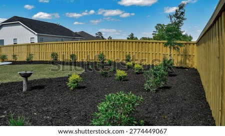 Well-maintained suburban backyard featuring fresh black mulch landscaping, small ornamental shrubs, young trees, and a wooden privacy fence. Residential outdoor garden design with green lawn, blue sky, and scattered clouds in a peaceful neighborhood setting.