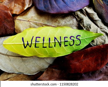 Wellness concept written on leaf