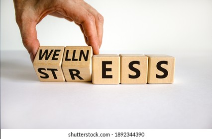 Wellness instead of stress symbol. Hand turns cubes and changes the word 'stress' to 'wellness'. Beautiful white background. Business and psychological wellness or stress concept. Copy space.